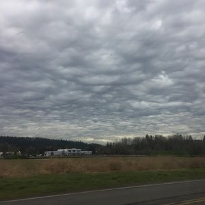 Meet your Posher, Sean